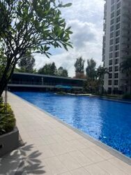 Lake Life (D22), Condominium #504020241